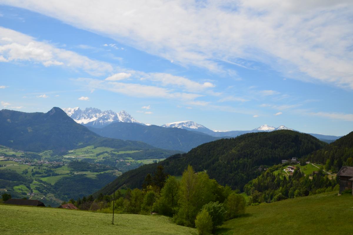 Zunerhof 31.05.2019